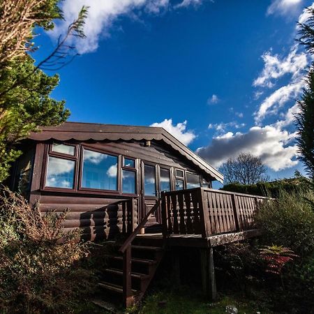 Log Cabin Nr Coed Y Brenin By Seren Short Stays Trawsfynydd Luaran gambar